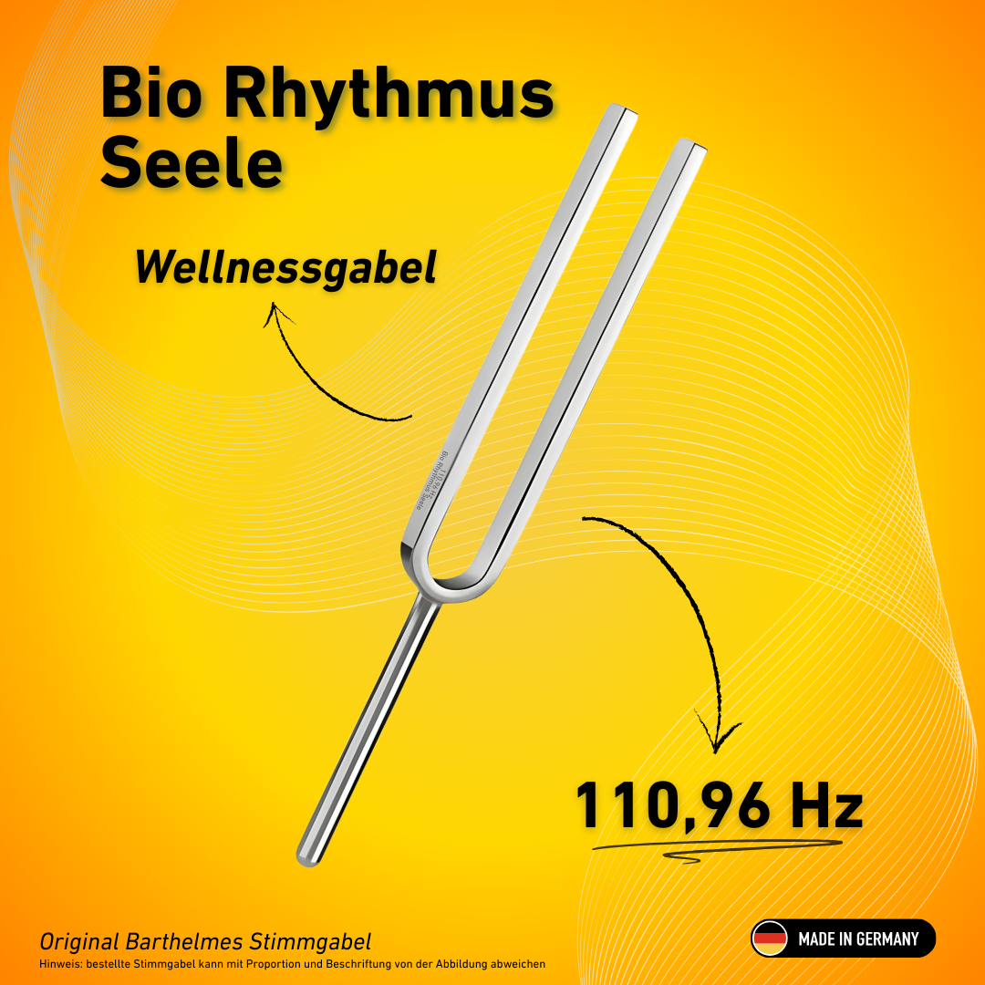 Stimmgabel Bio Rhythmus Seele Wellness 110,96 HZ | Art.-Nr. 220001