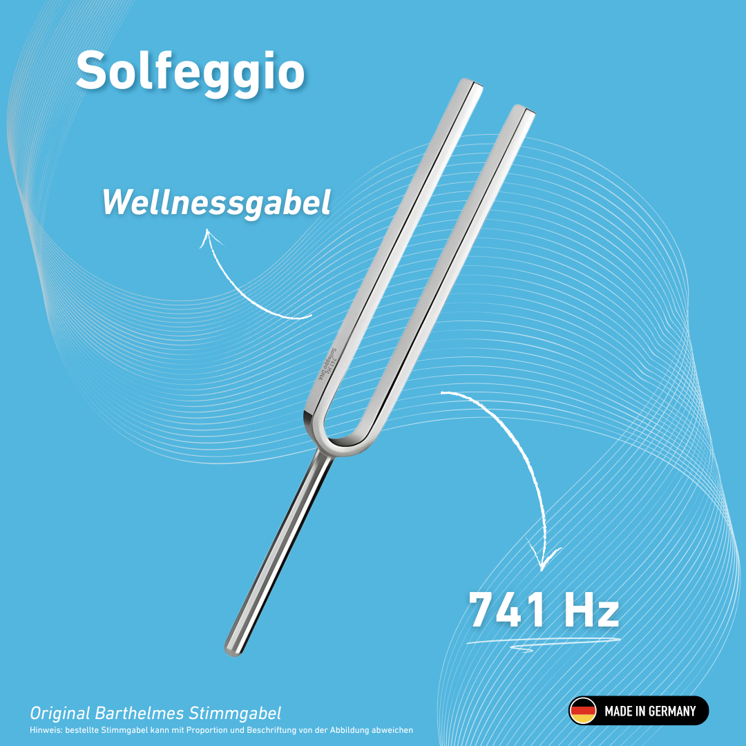 Diapason Solfeggio Wellness 741 Hz | Réf. 220183