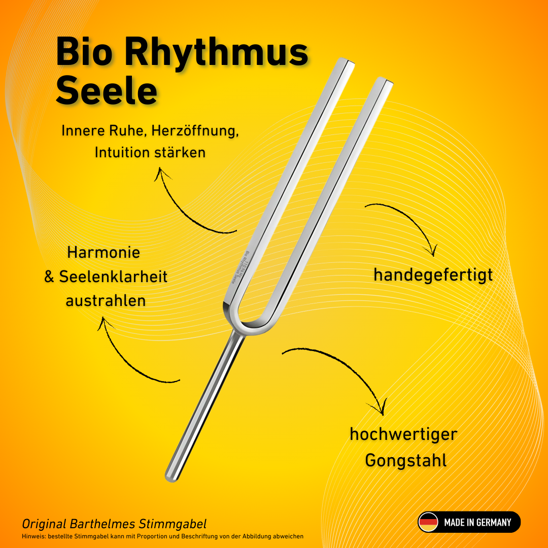 Stimmgabel Bio Rhythmus Seele Wellness 110,96 HZ | Art.-Nr. 220001