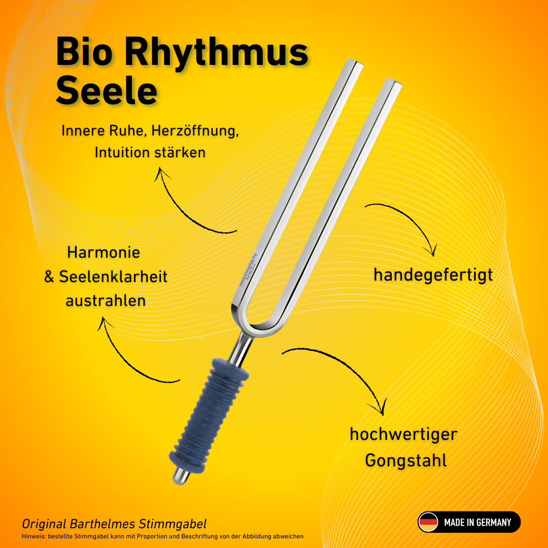 Original Barthelmes Stimmgabel Bio Rhythmus Seele Wellness mit blauem Griff 110,96 HZ | Art.-Nr. 220112