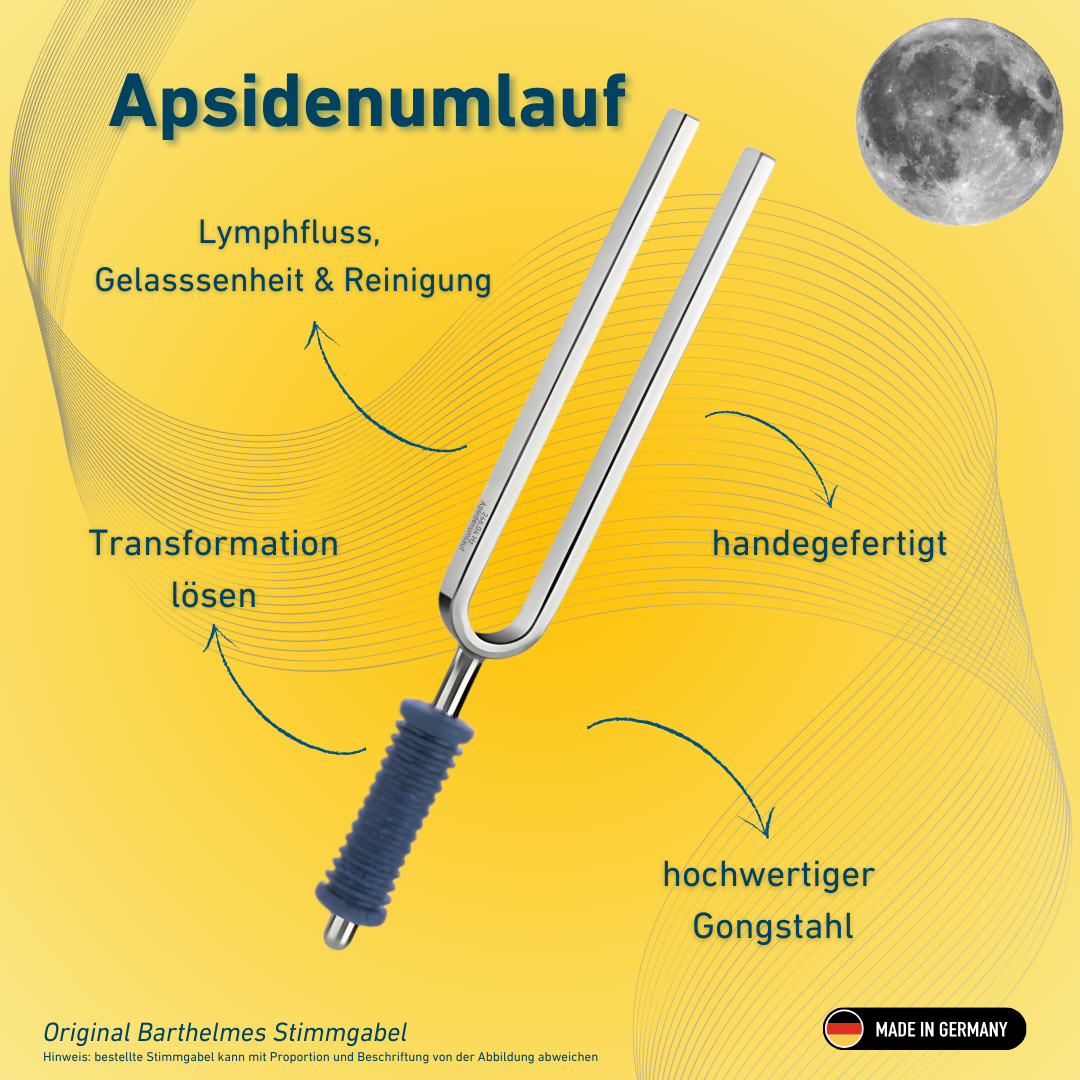 Original Barthelmes Stimmgabel Apsidenumlauf Wellness mit blauem Griff 246,04 Hz | Art.-Nr. 220144