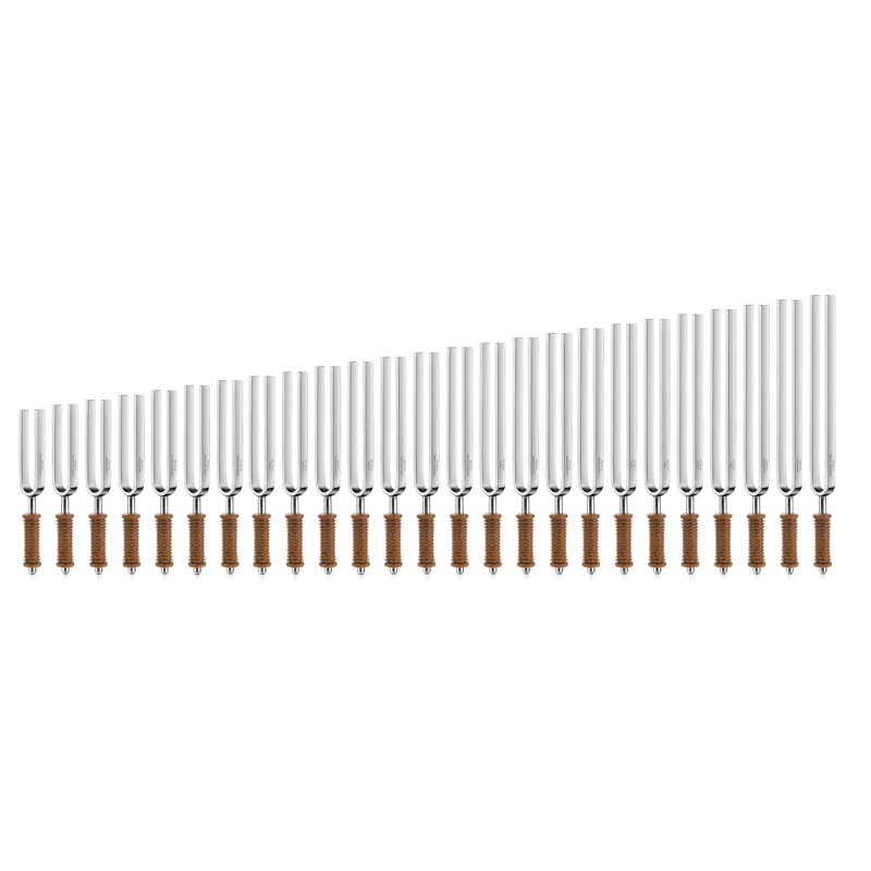 Auf dem Bild die Master-Set Wellness – 25 Gabeln