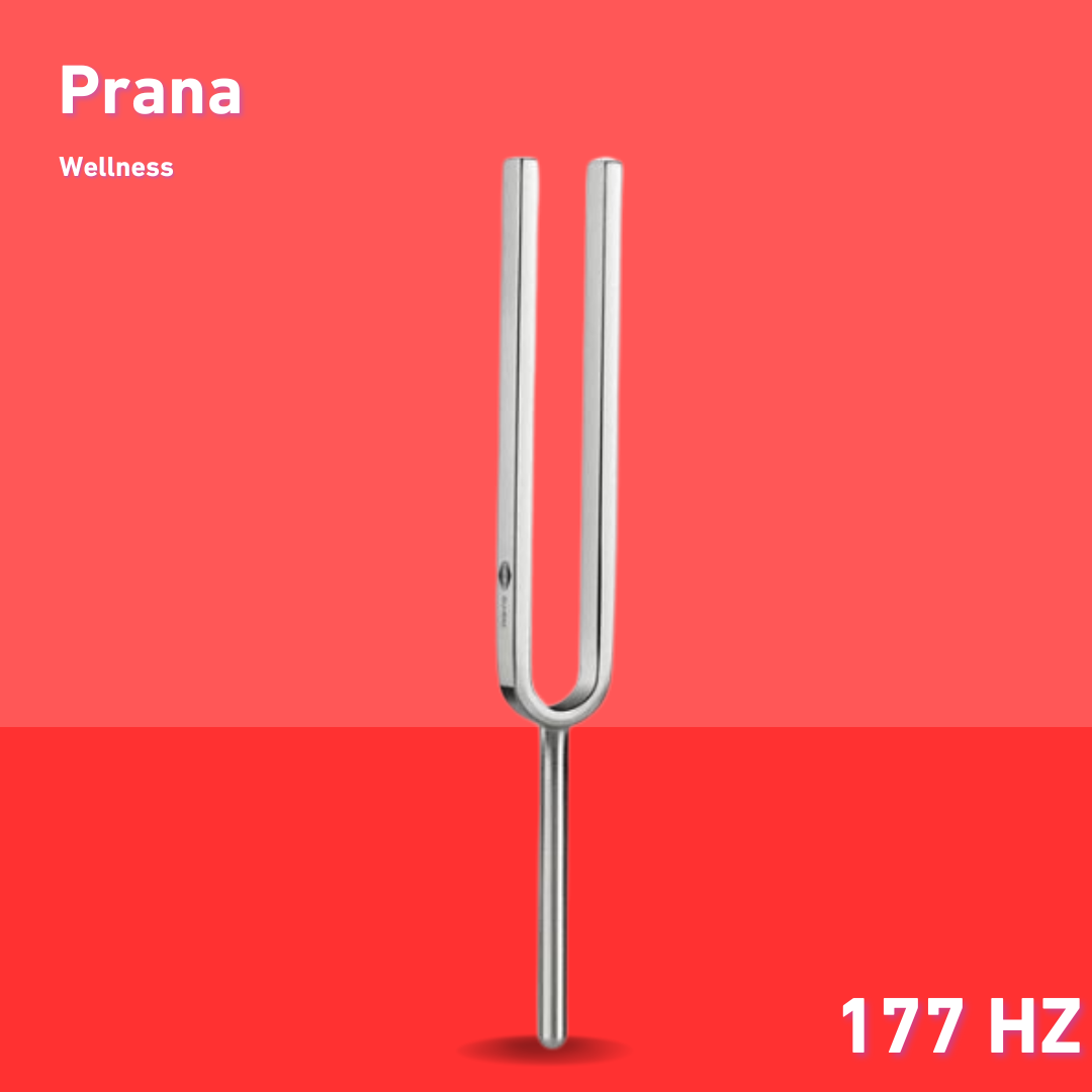 Diapason Prana Wellness 172,86 Hz | Réf. 220038