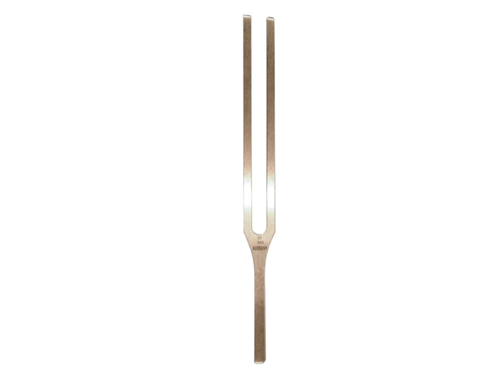 Stimmgabel d1 288 Hz