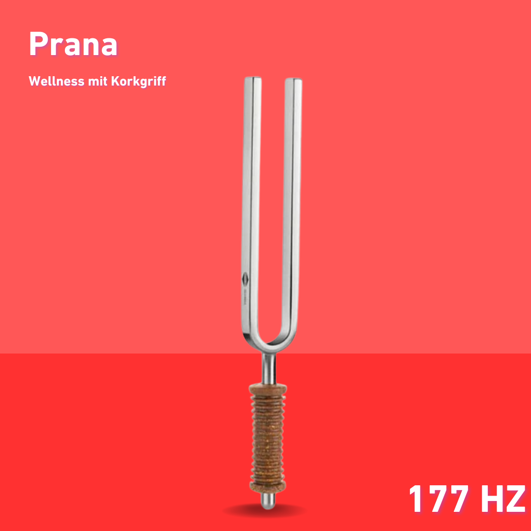 Diapason Prana Wellness avec manche en liège 172,86 Hz | Réf. 220039