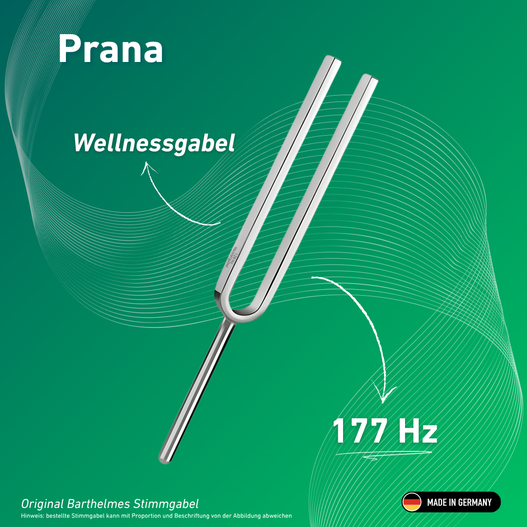 Stimmgabel Prana Wellness 177 Hz | Art.-Nr. KO 177/7
