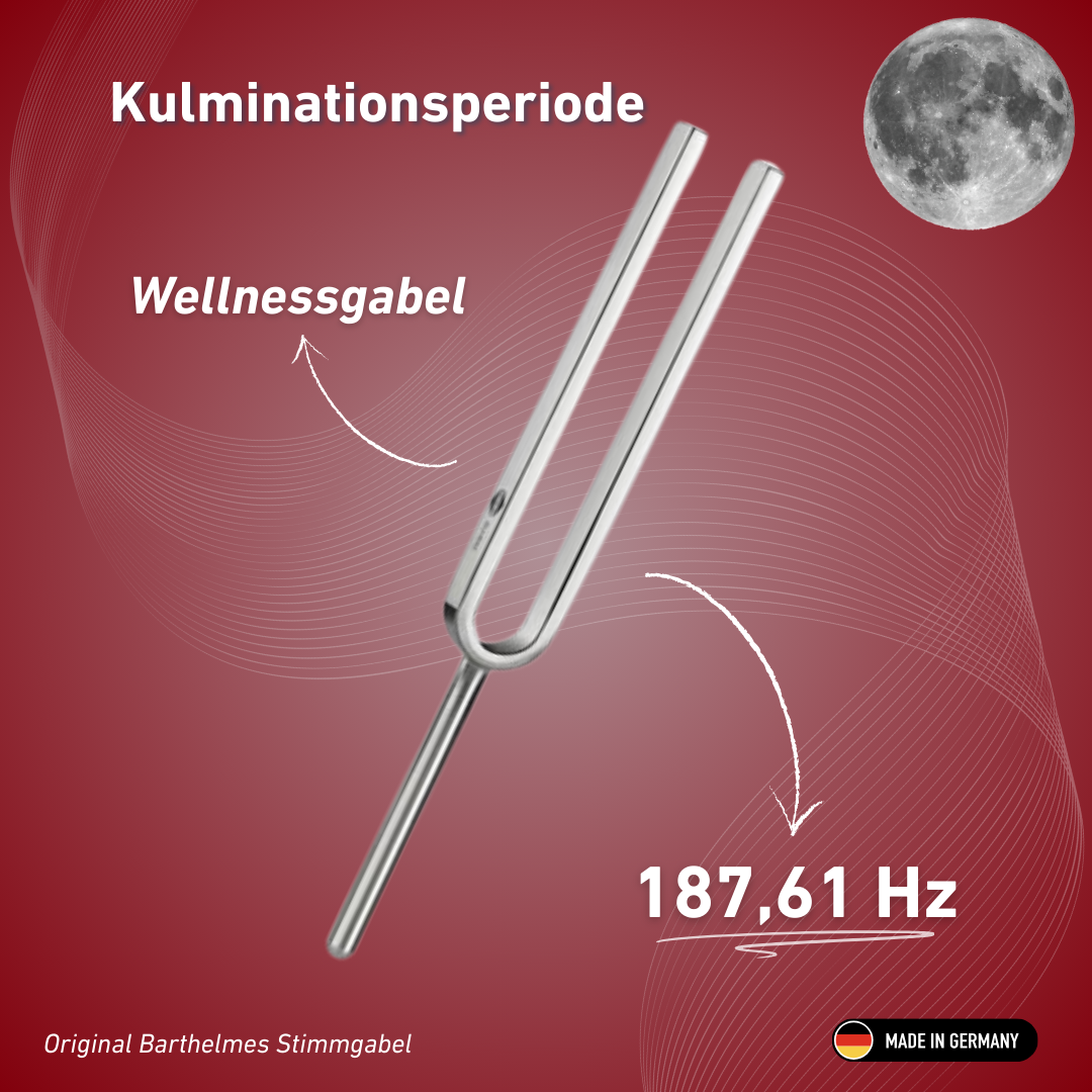 Stimmgabel Kulminationsperiode Wellness 187,61 Hz | Art.-Nr. 220042