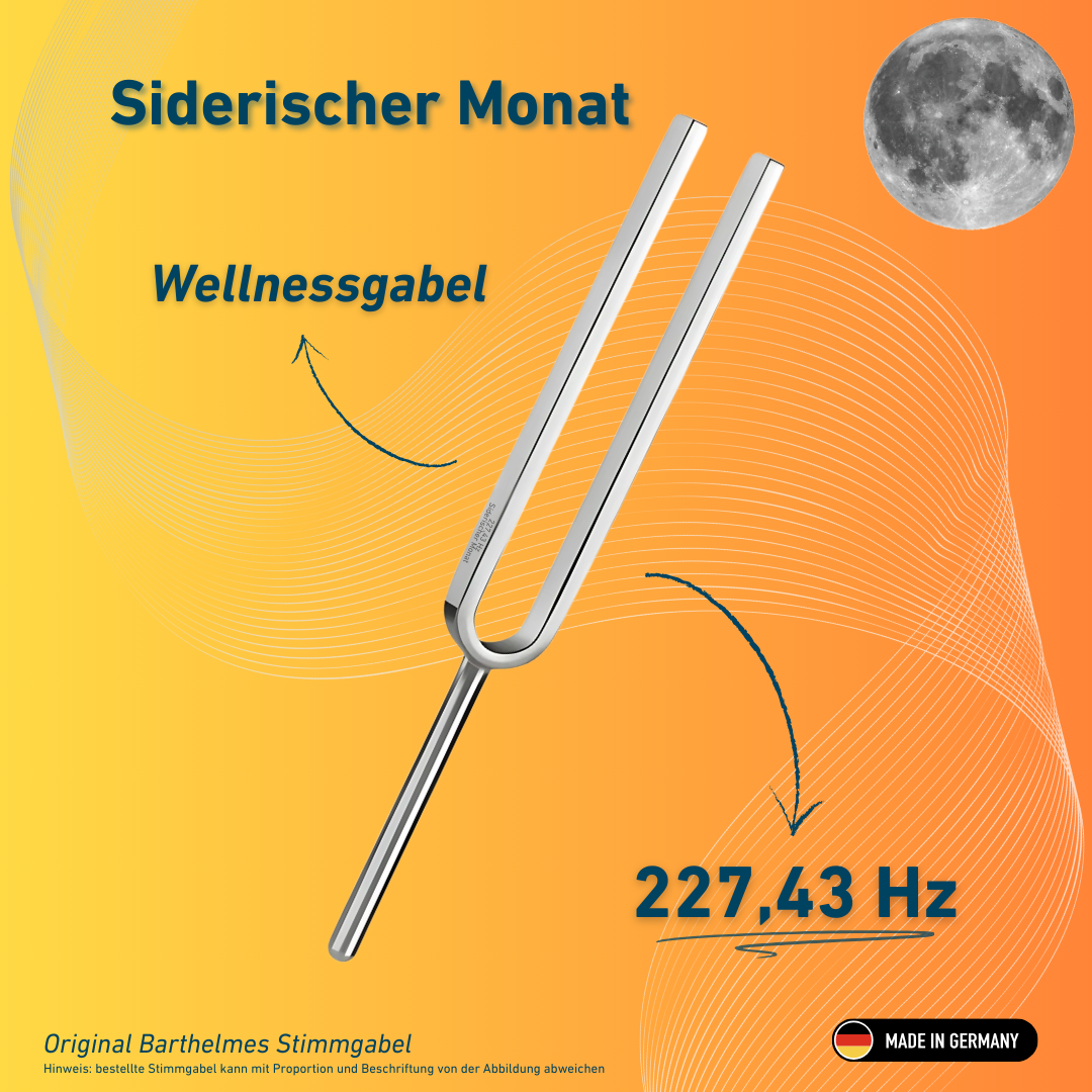 Diapason Mois Sidéral Bien-être 227,43 Hz | Réf. 220059