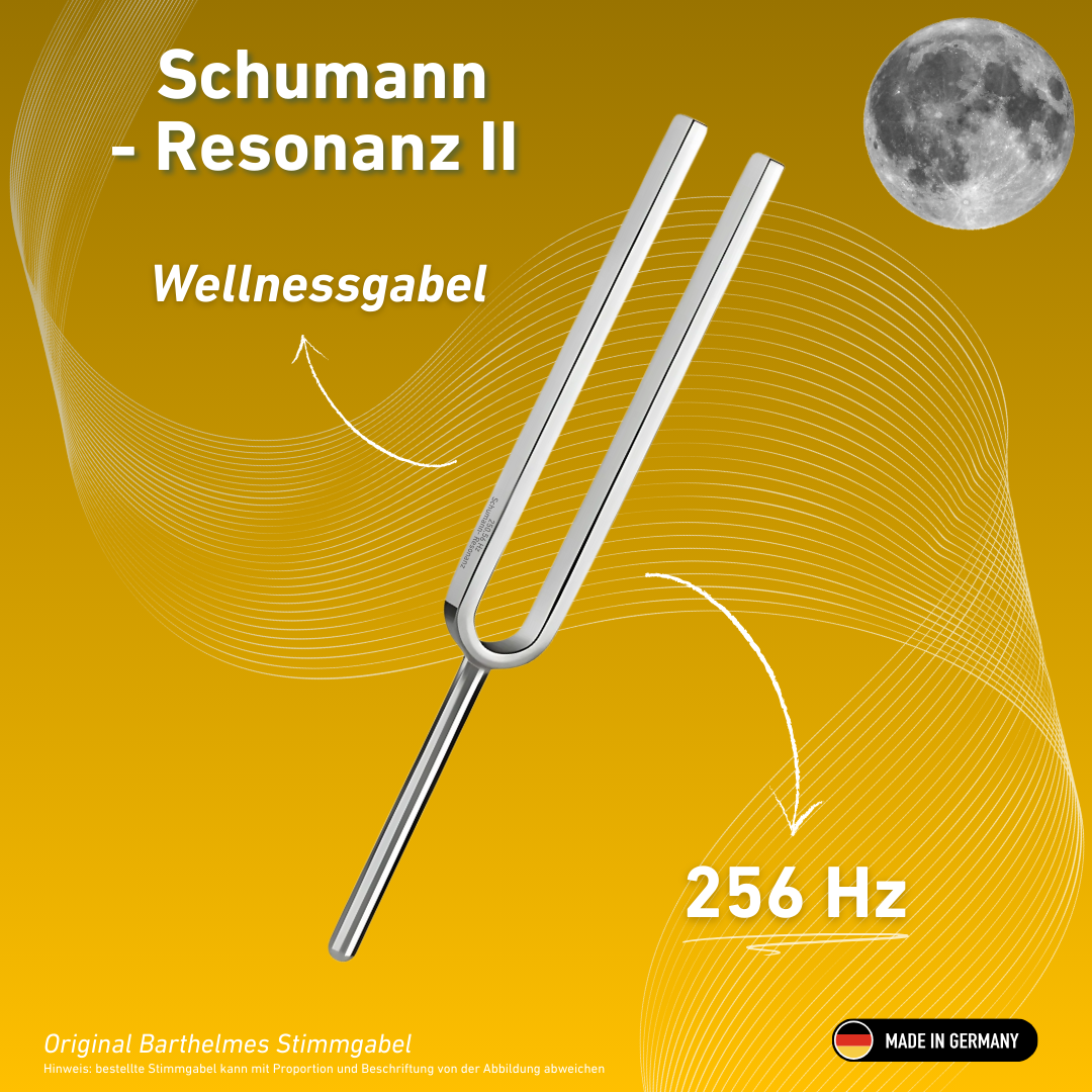 Diapason Schumann Resonance II Wellness 256 Hz | Réf. 220071