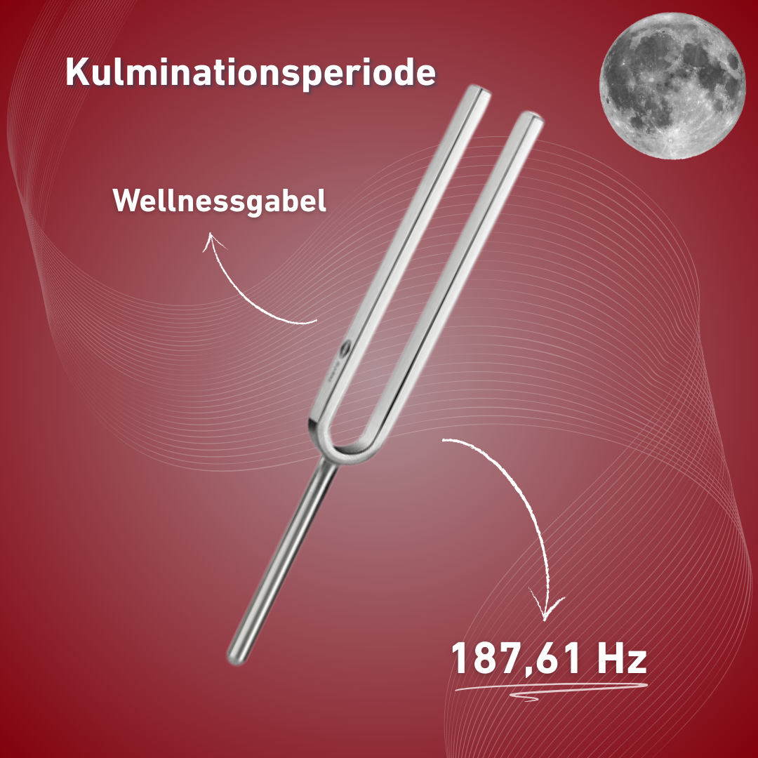 Stimmgabel Kulminationsperiode Wellness 187,61 Hz | Art.-Nr. 220042