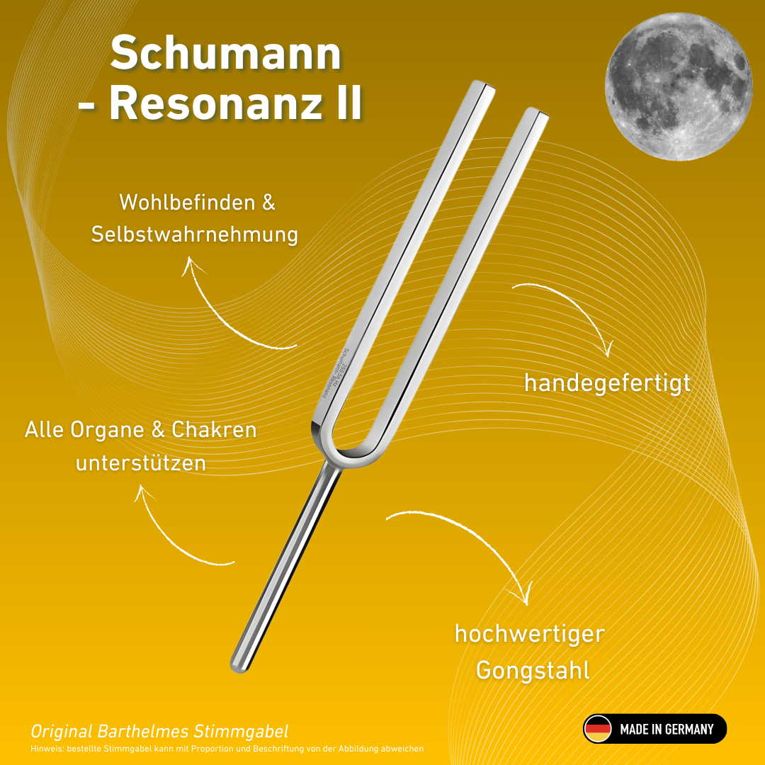 Diapason Schumann Resonance II Wellness 256 Hz | Réf. 220071