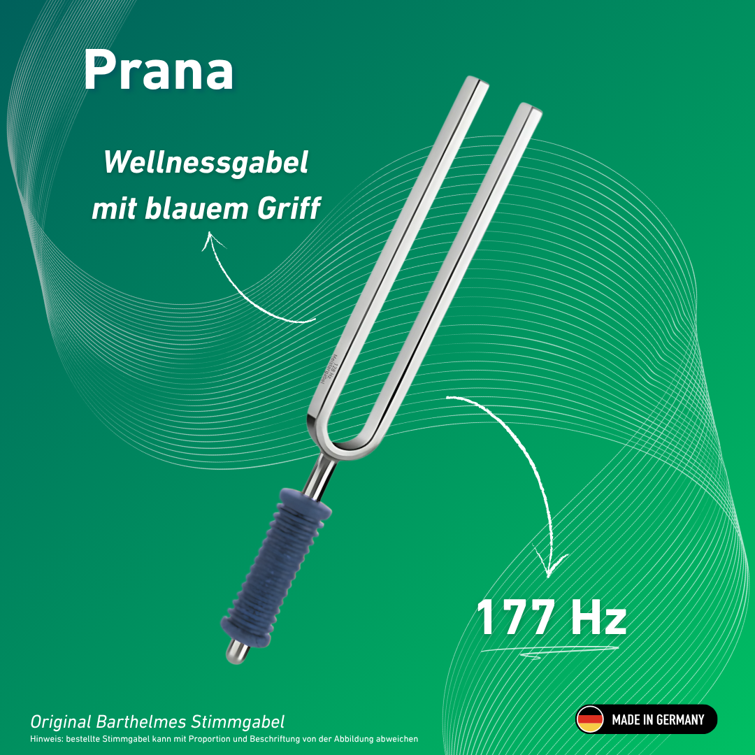 Stimmgabel Prana Wellness mit blauem Griff 177 Hz | Art.-Nr. KO 177/7