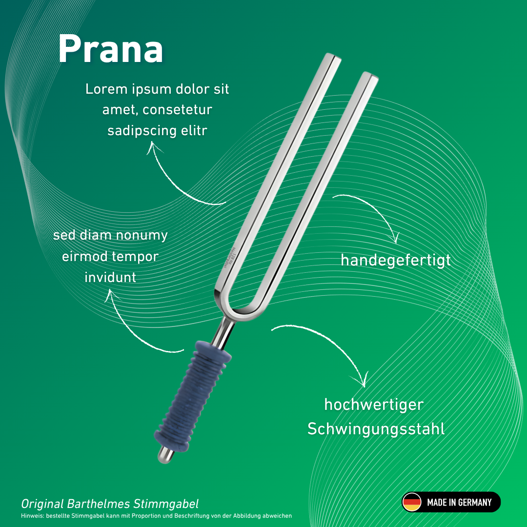 Stimmgabel Prana Wellness mit blauem Griff 177 Hz | Art.-Nr. KO 177/7