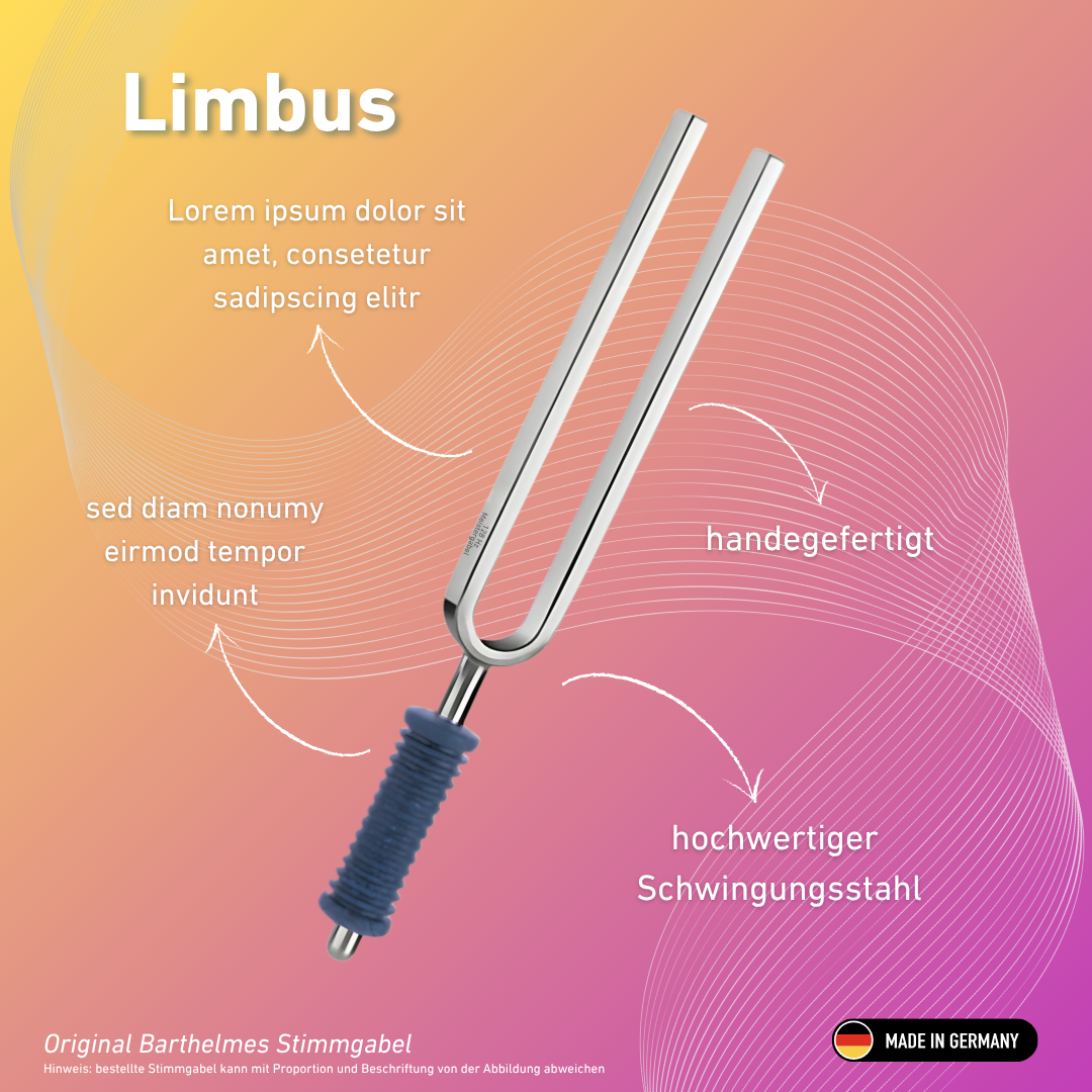 Stimmgabel Limbus 216 Hz mit blauem Griff | Art.-Nr. KO 216/7-KB