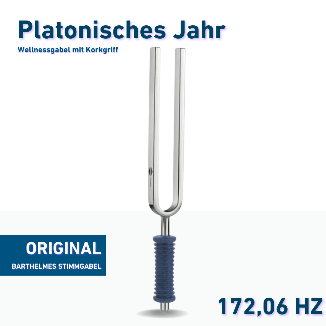 Original Barthelmes Stimmgabel Platonisches Jahr Wellness mit blauem Griff 172,06 Hz