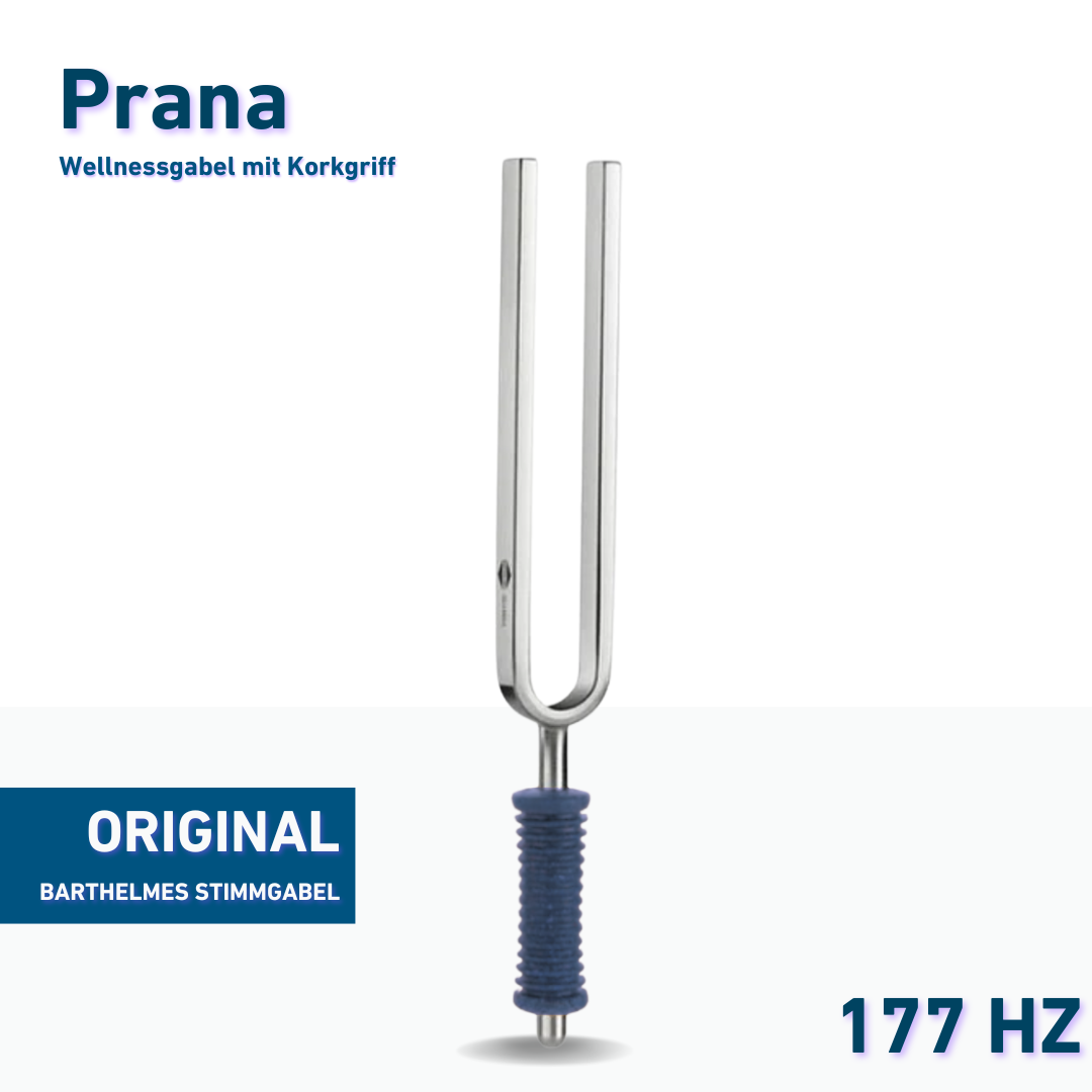 Original Barthelmes Stimmgabel Prana Wellness mit blauem Korkgriff  177 Hz | Art.-Nr. 220130