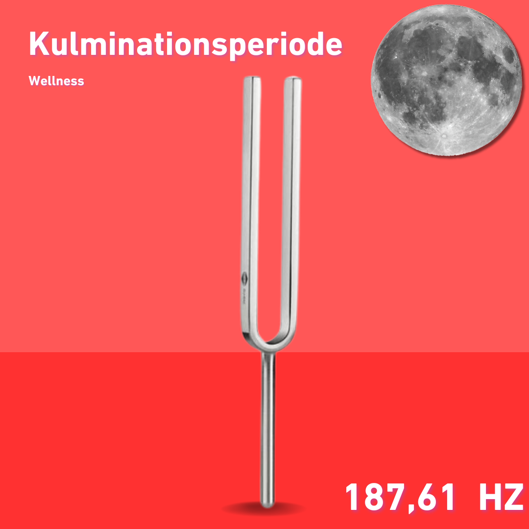 Stimmgabel Kulminationsperiode Wellness 187,61 Hz | Art.-Nr. 220042
