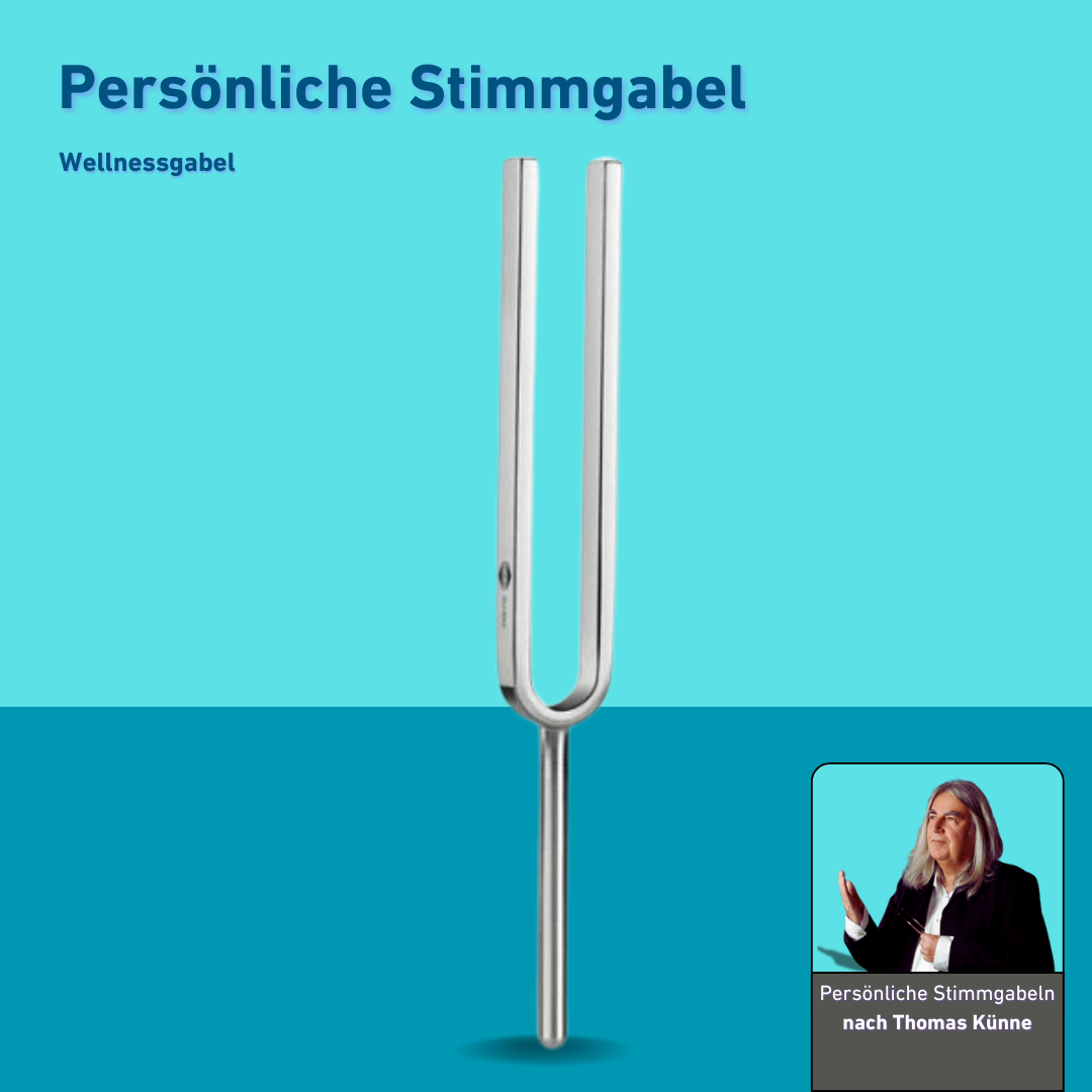 Persönliche Stimmgabel Wellness nach Thomas Kühne KO/7-PSG